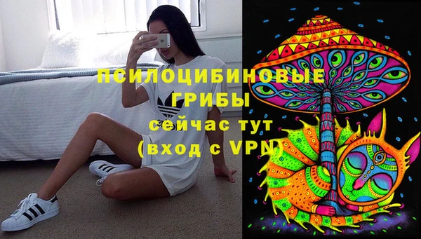 скорость Белокуриха